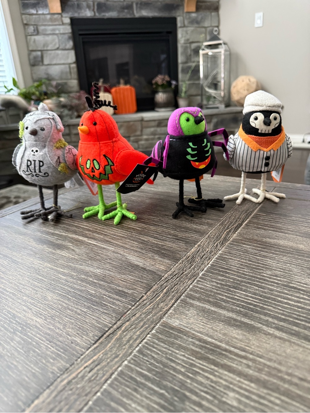 NWT Halloween Featherly Friends Birds Set Bundle of 4